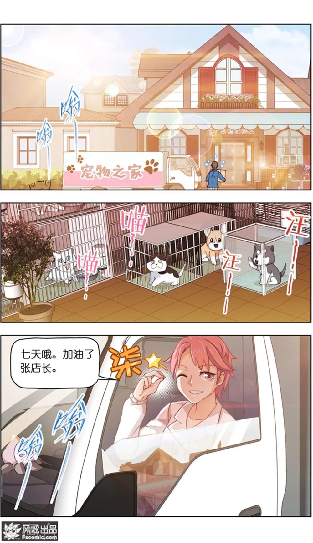 《宠物天王》第13话3 土豪的珍宝 第8页
