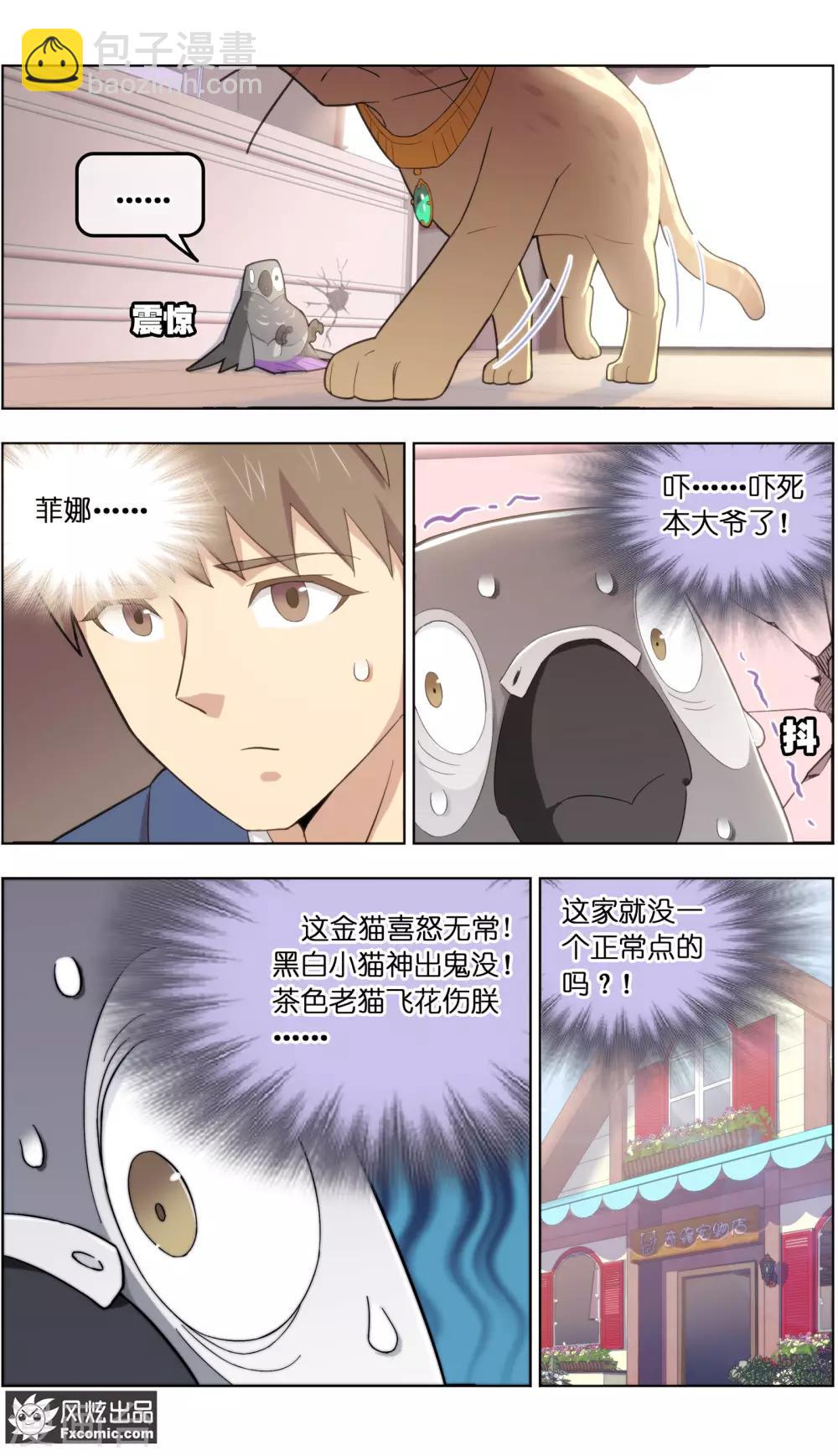 《宠物天王》第31话3 不正经的鸟 第3页