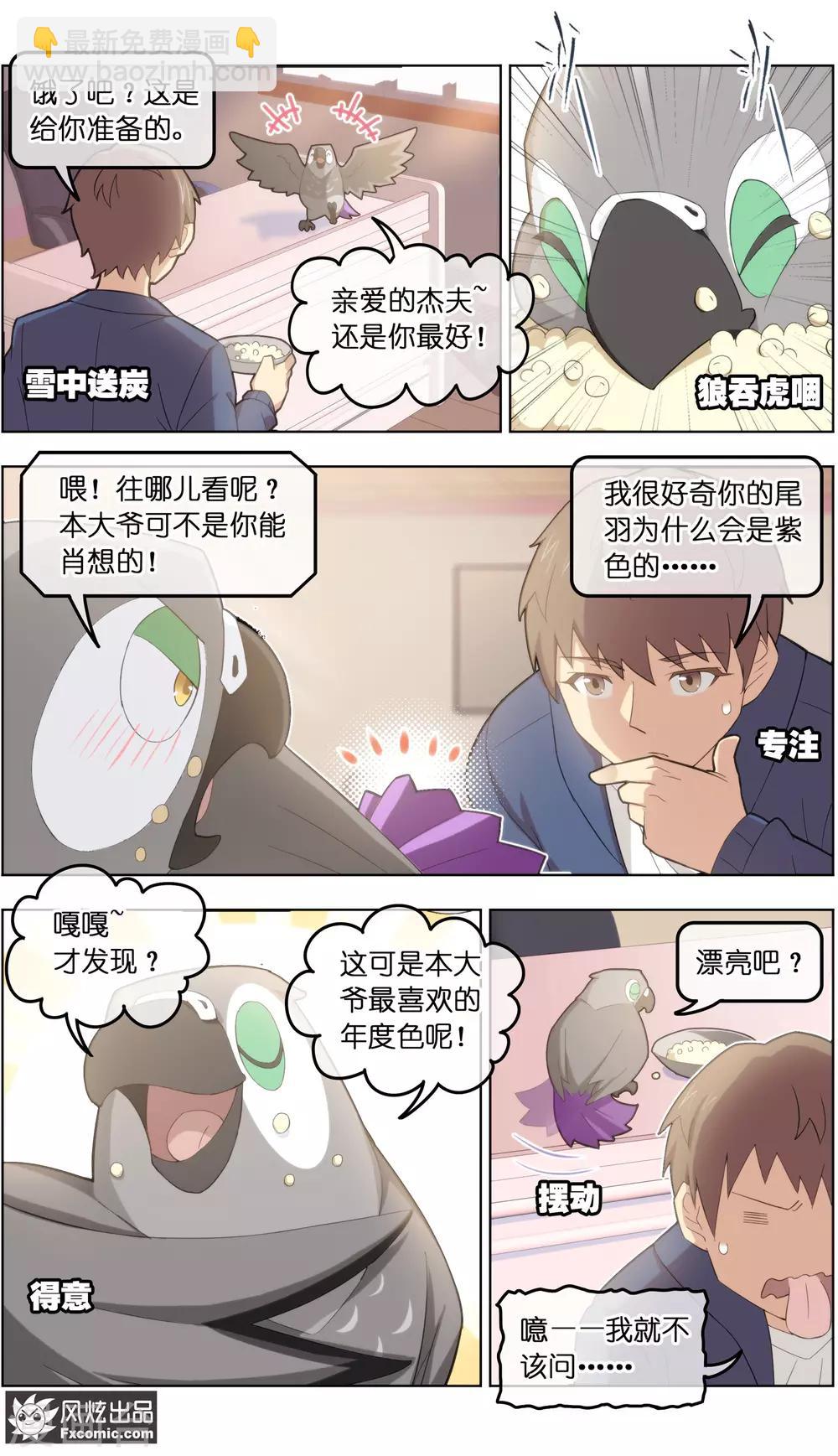 《宠物天王》第31话3 不正经的鸟 第4页