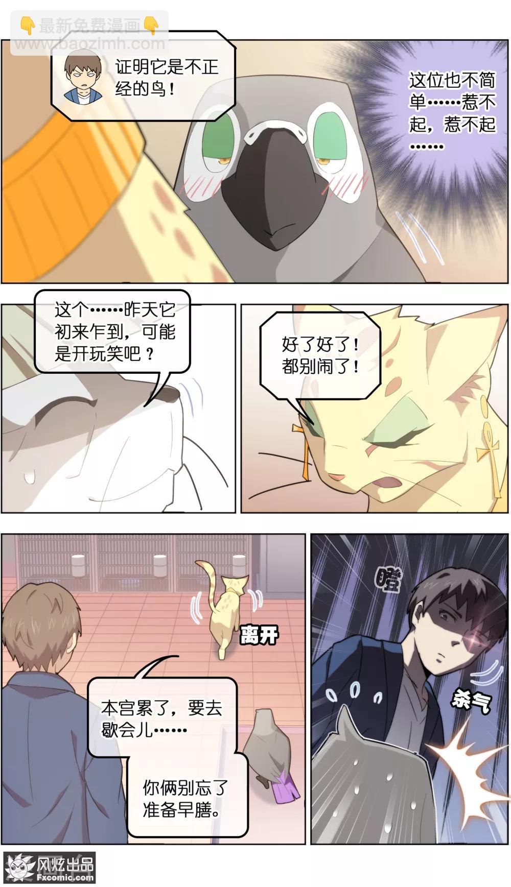 《宠物天王》第31话1 不正经的鸟 第14页