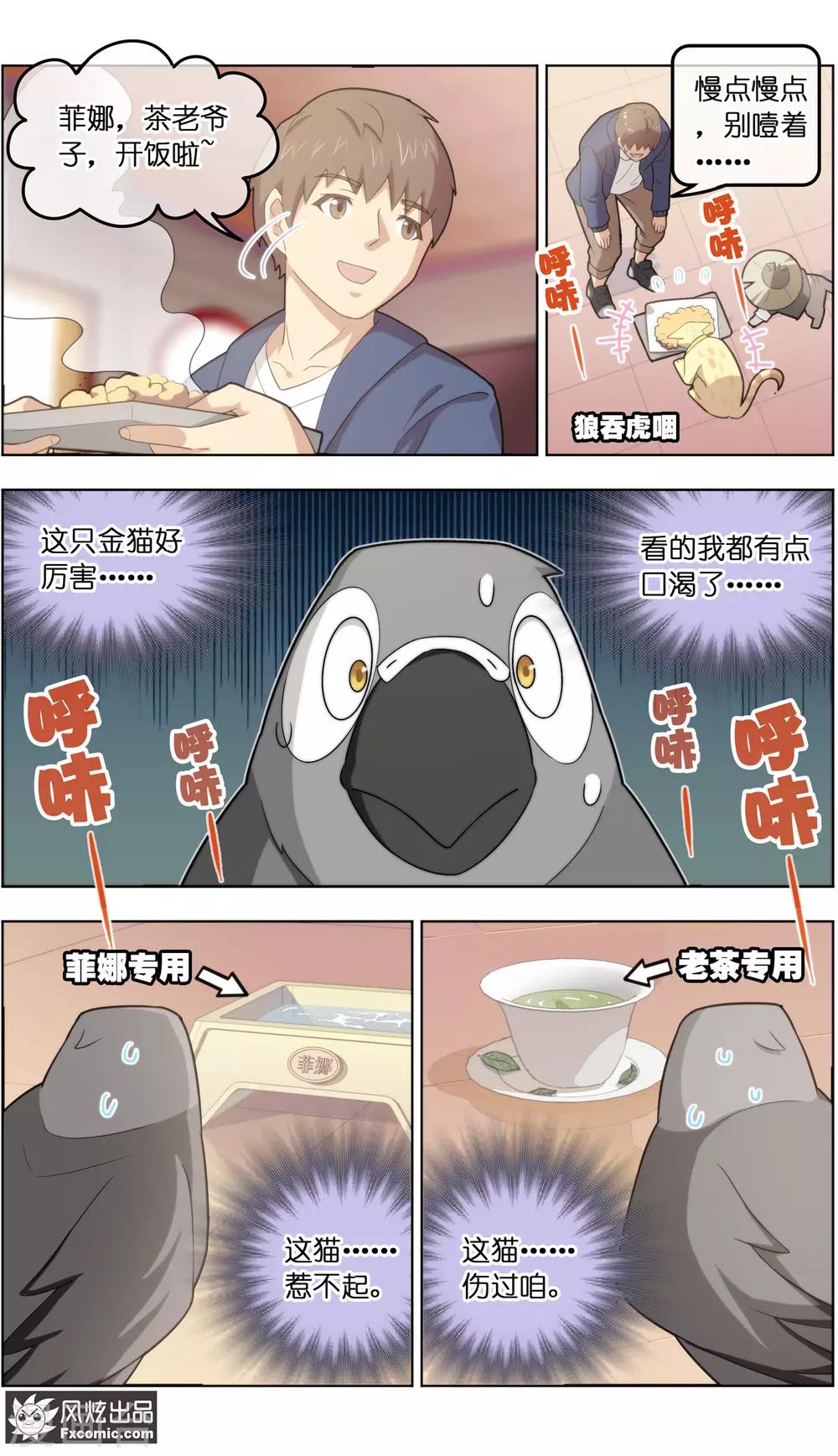 《宠物天王》第31话2 不正经的鸟 第4页