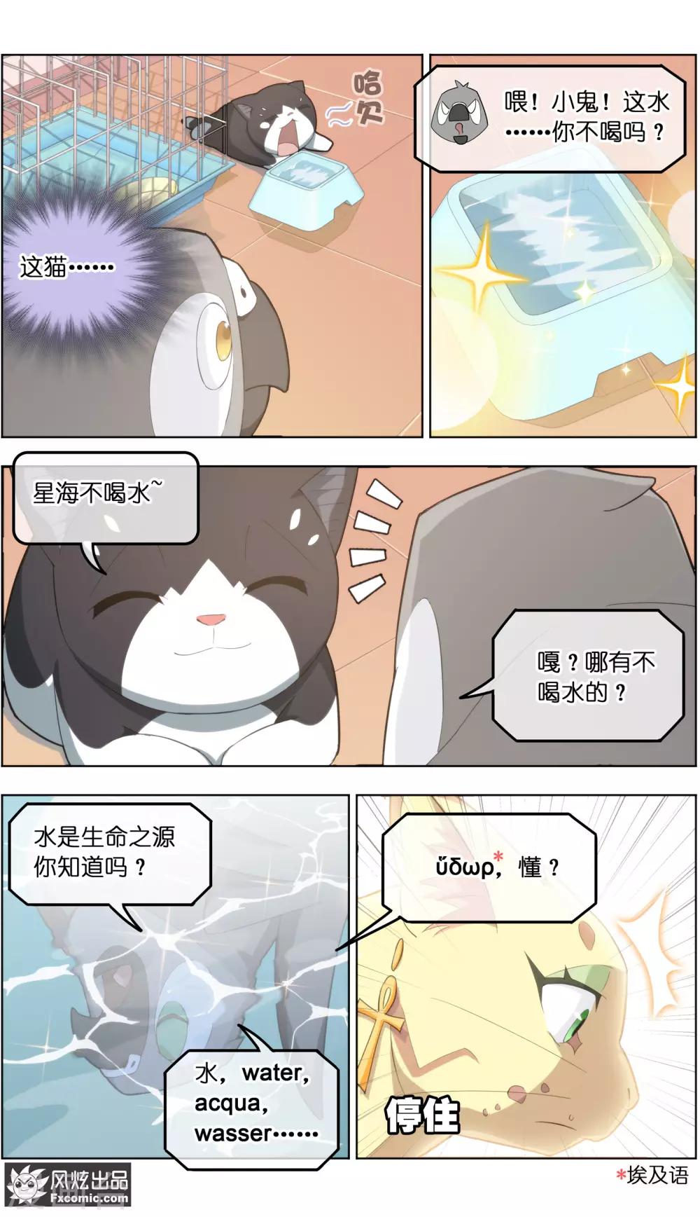 《宠物天王》第31话2 不正经的鸟 第5页