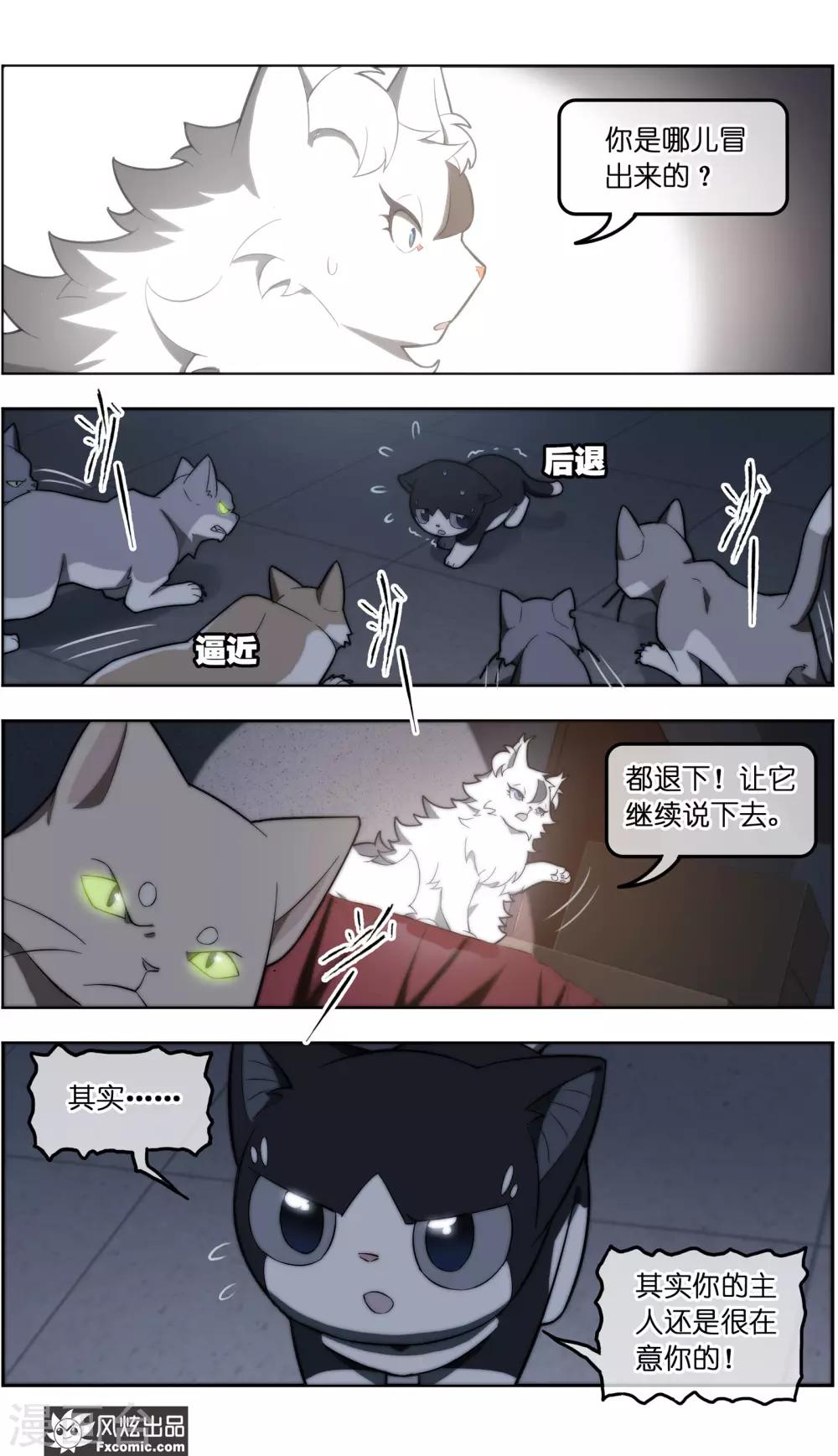 《宠物天王》第35话4 无贼 第7页