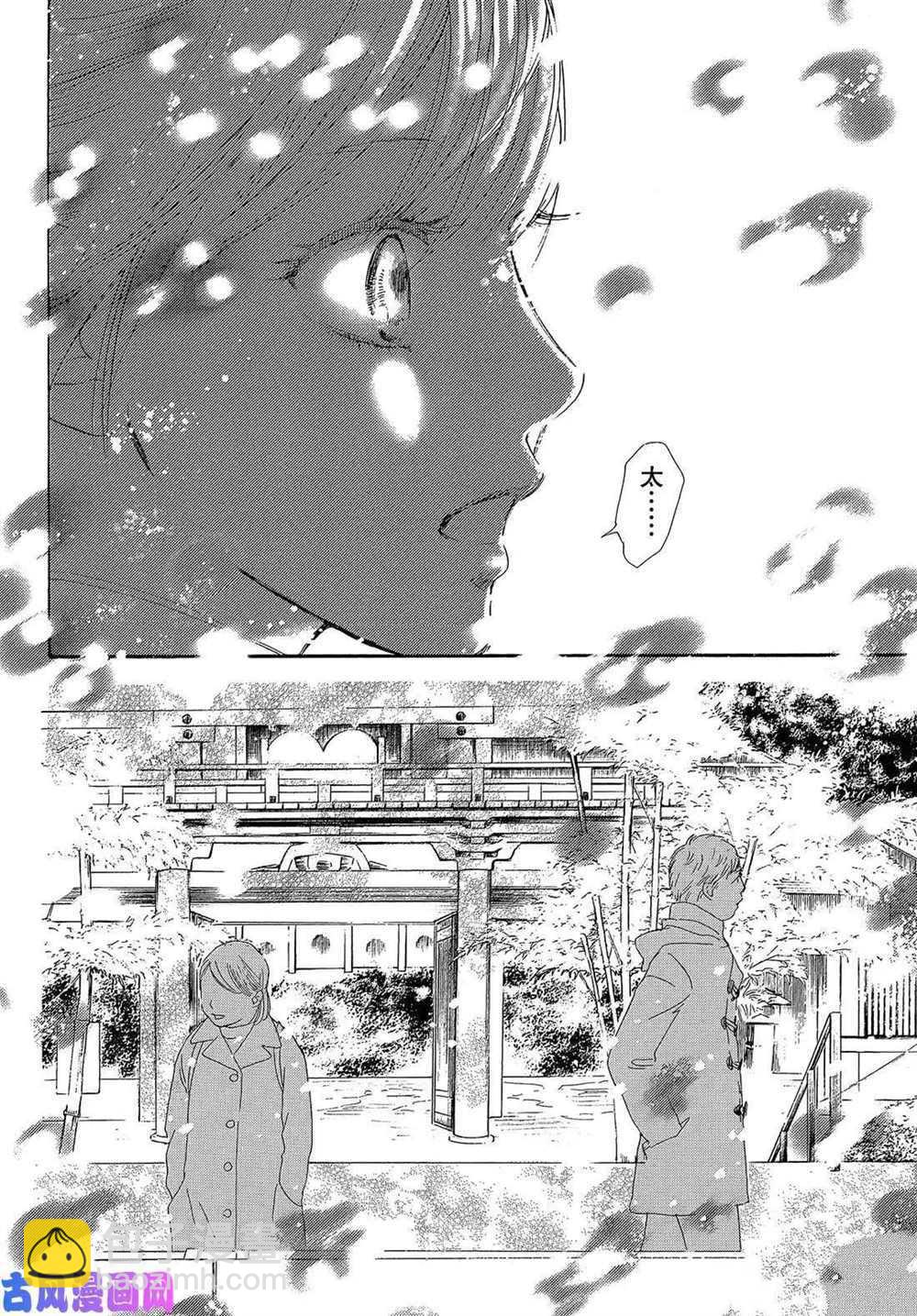《花牌情缘》第216话 第37页