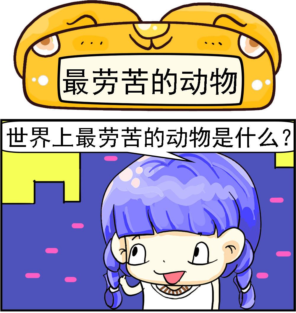 《乖乖爱卖萌》第100话 最劳苦的动物 第1页