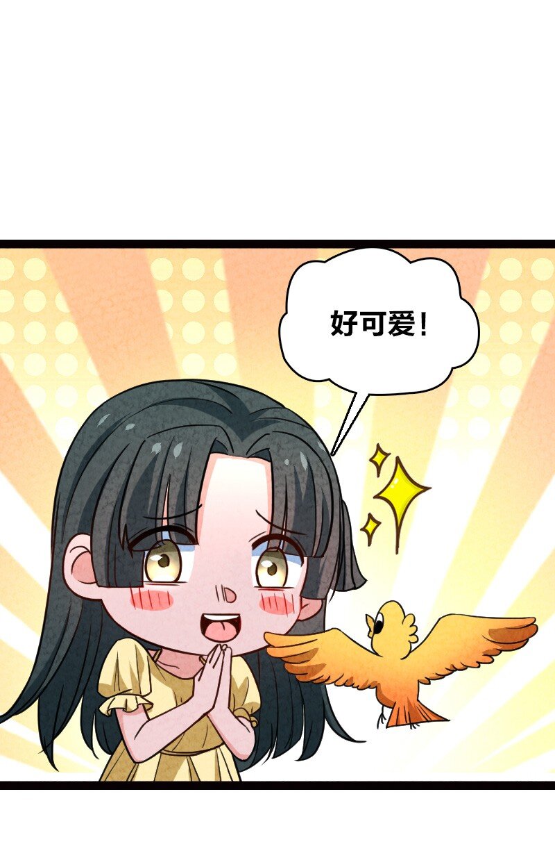 《你真是个天才》065 他又不喜欢你 第31页
