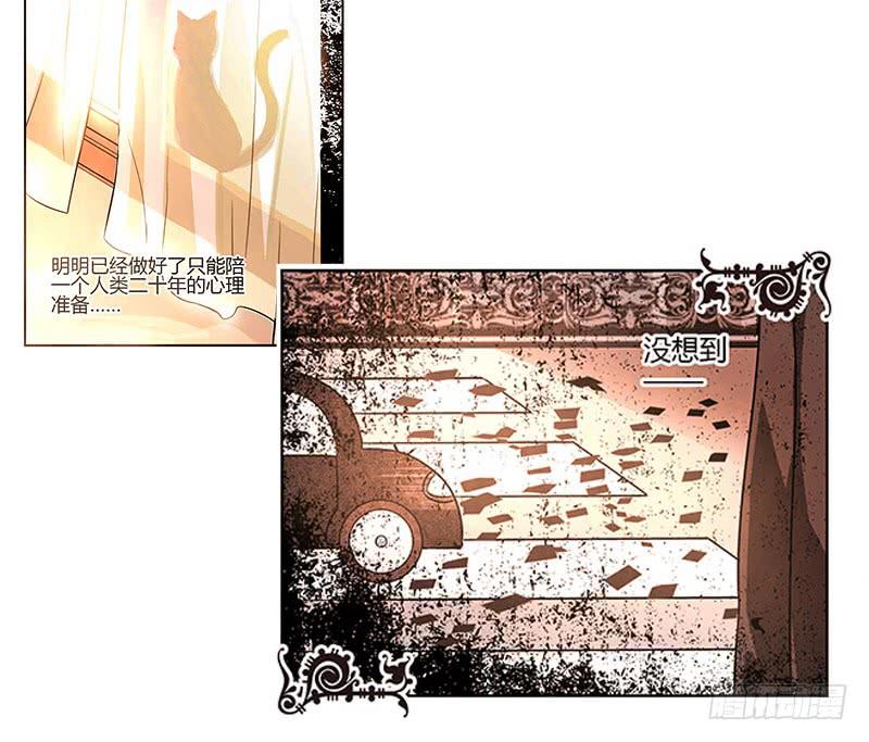 《返魂少女》03 时间停滞的少年与猫（下） 第1页