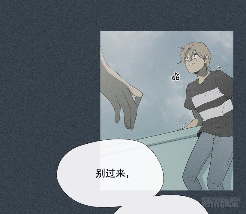 《看见你的钱》亡命天台 第5页