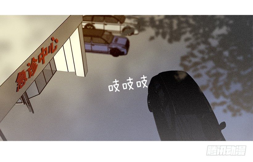 《看见你的钱》齐远与知画 第3页