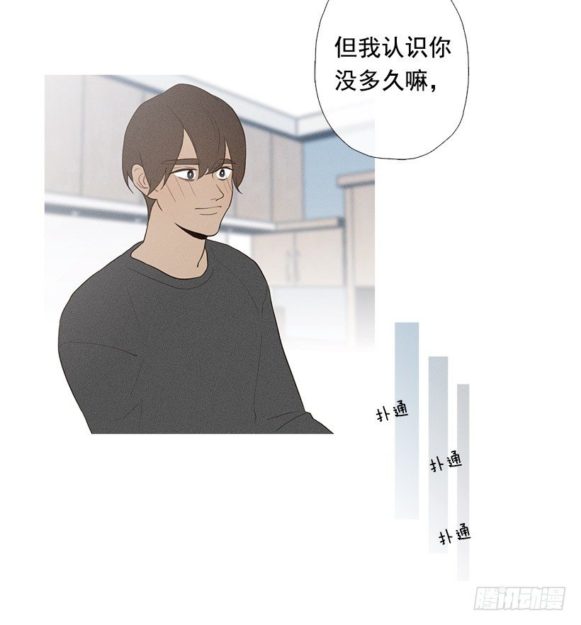 《看见你的钱》表白的回复 第13页