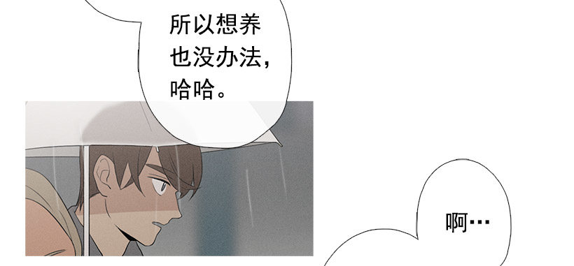 《看见你的钱》散场后 第21页