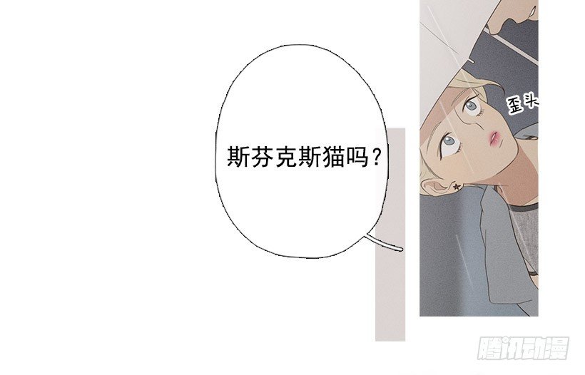 《看见你的钱》散场后 第23页