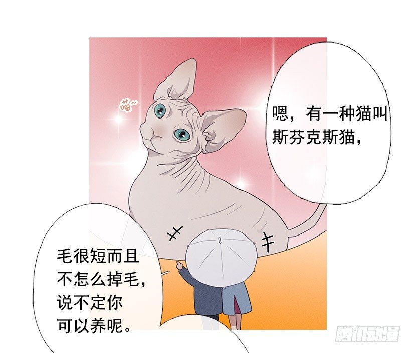 《看见你的钱》散场后 第24页