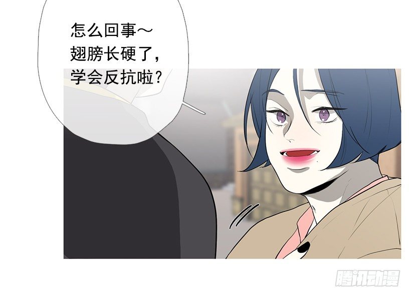 《看见你的钱》去占卜馆工作 第10页
