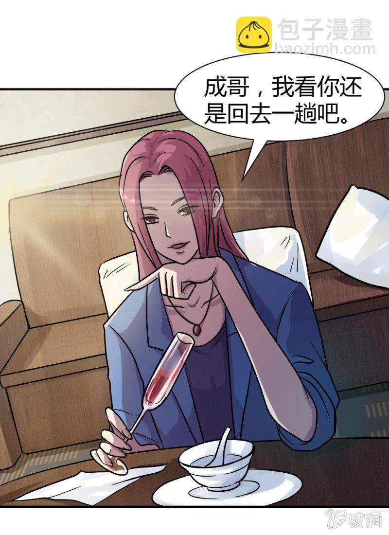 《兵魂》回国 第37页