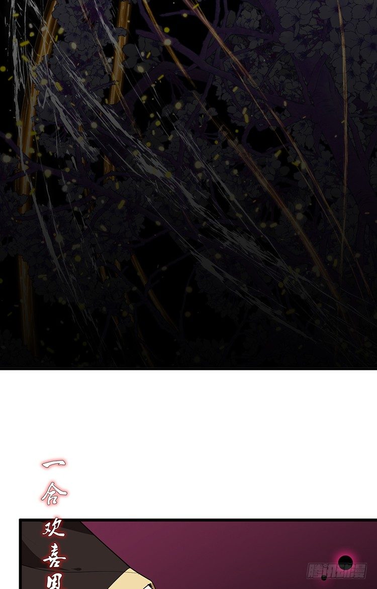 《夫君有毒》第二十四章 桃花劫 第13页