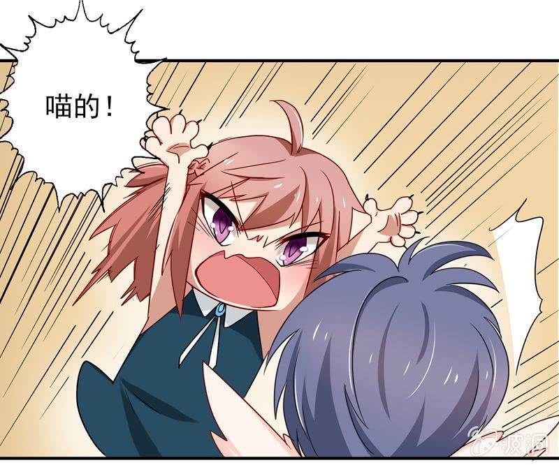 《隔壁总裁请指教》大打出手 第1页