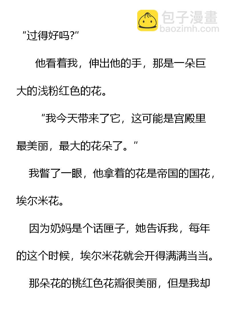 《重生敌国当团宠》第2章(一) 第14页