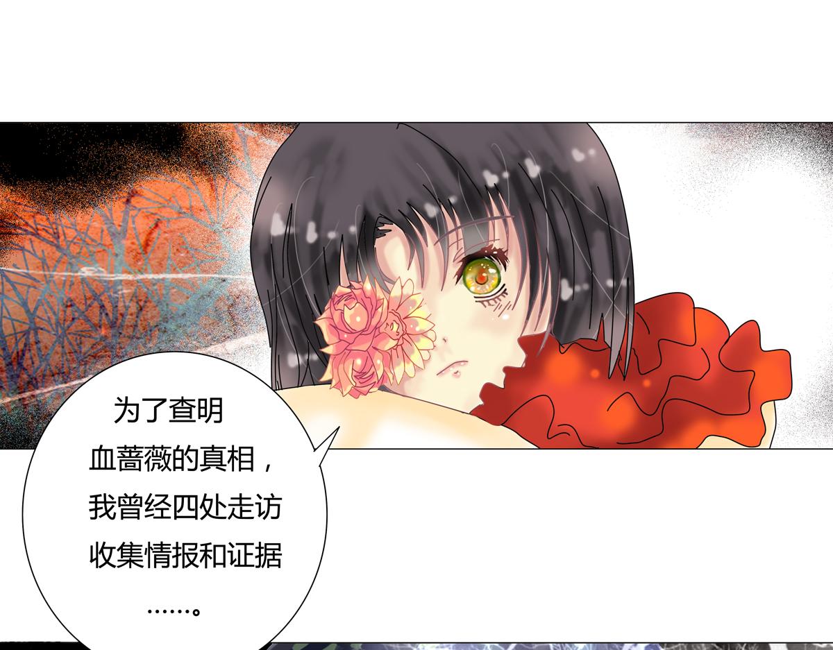 《断罪的挽歌》第四章 血蔷薇二 第11页