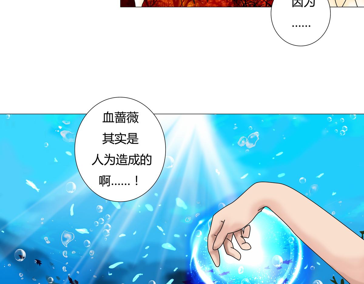 《断罪的挽歌》第四章 血蔷薇二 第8页