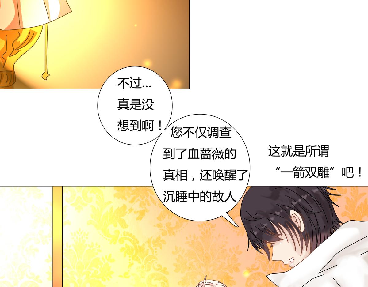 《断罪的挽歌》第四章 血蔷薇五 第14页