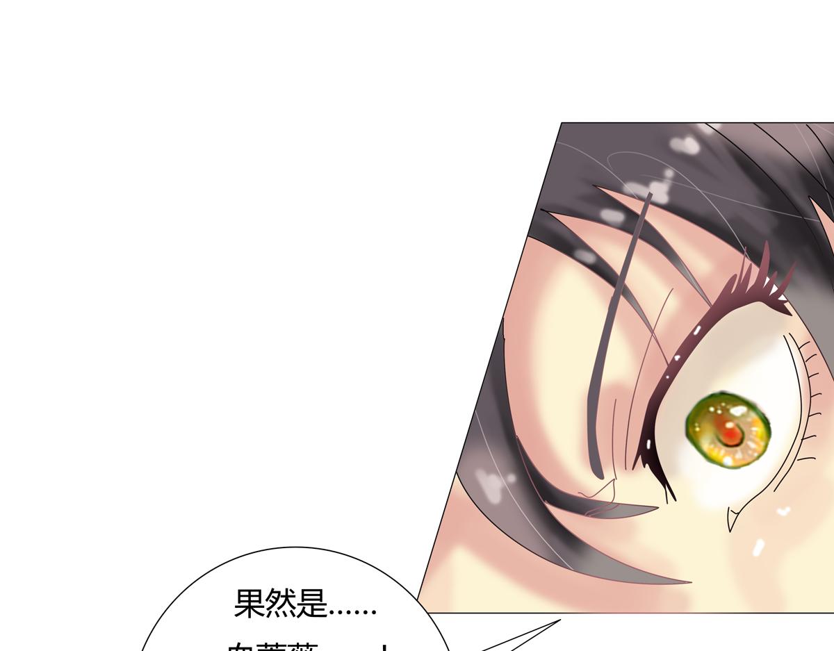 《断罪的挽歌》第四章 血蔷薇三 第11页