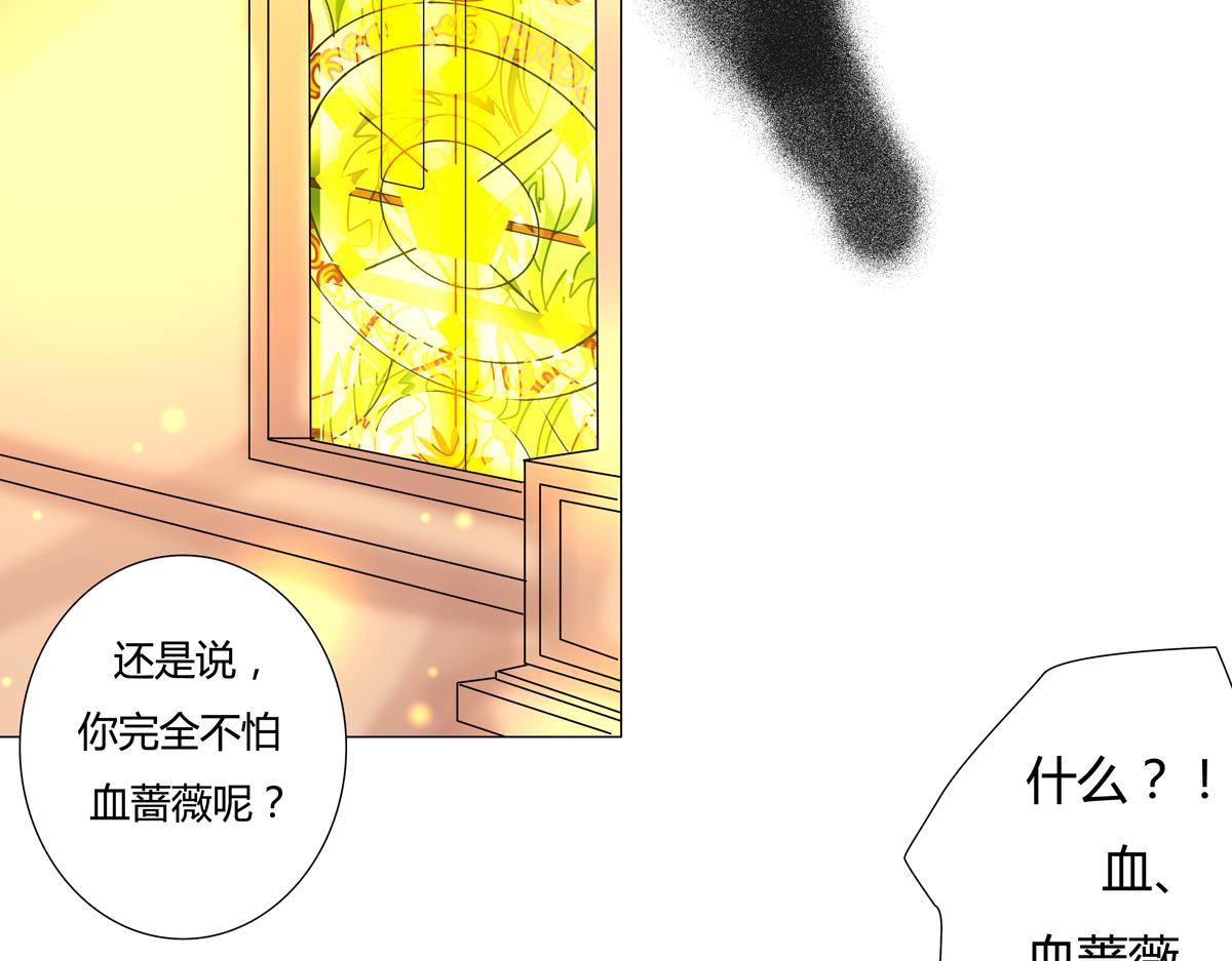 《断罪的挽歌》第四章 血蔷薇十四 第9页