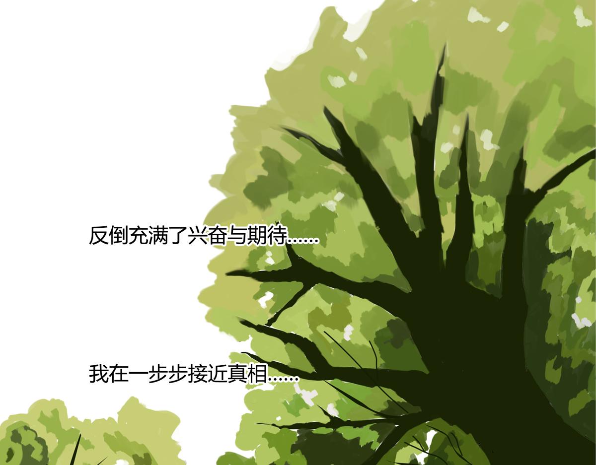 《断罪的挽歌》第五章 魔女的终结二 第13页