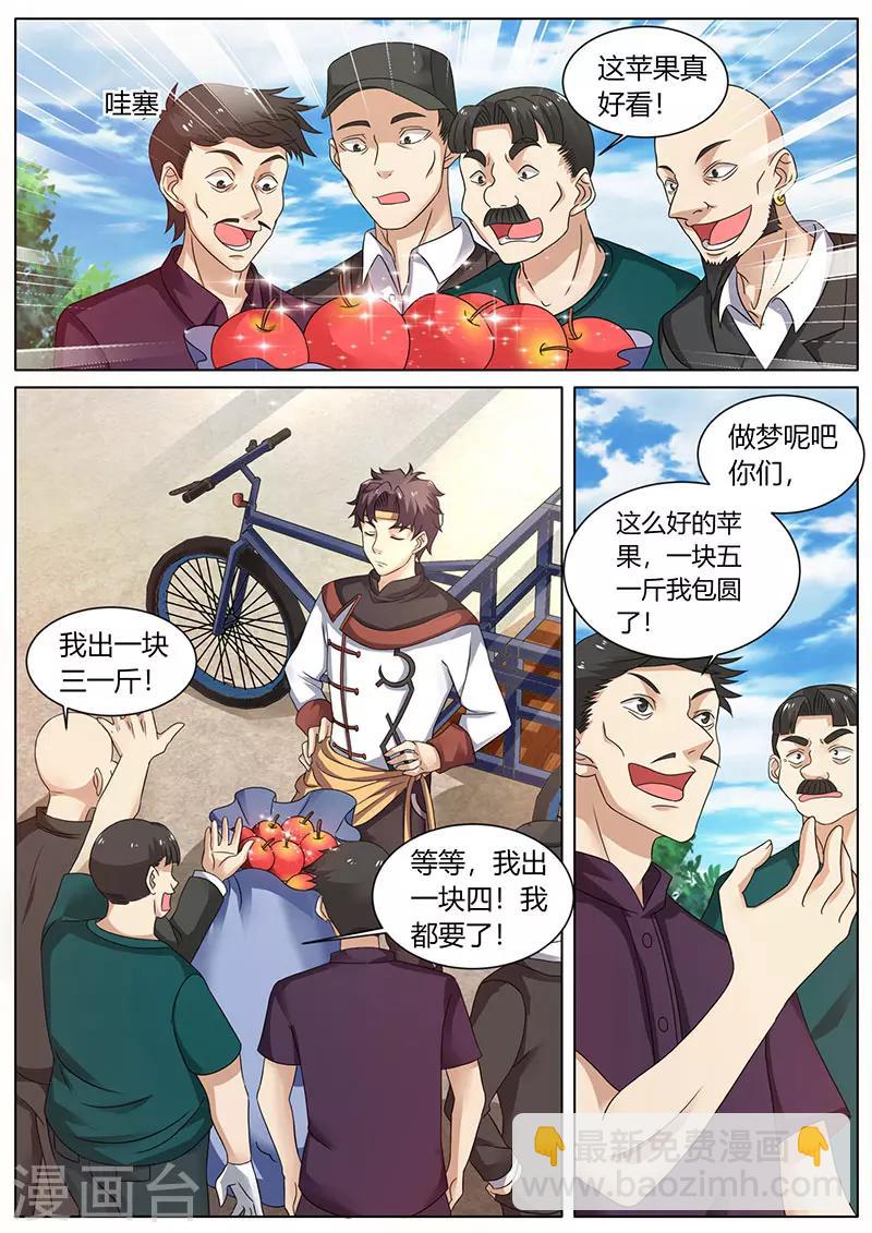 《超级神医系统》第59话 十元一个的苹果 第6页