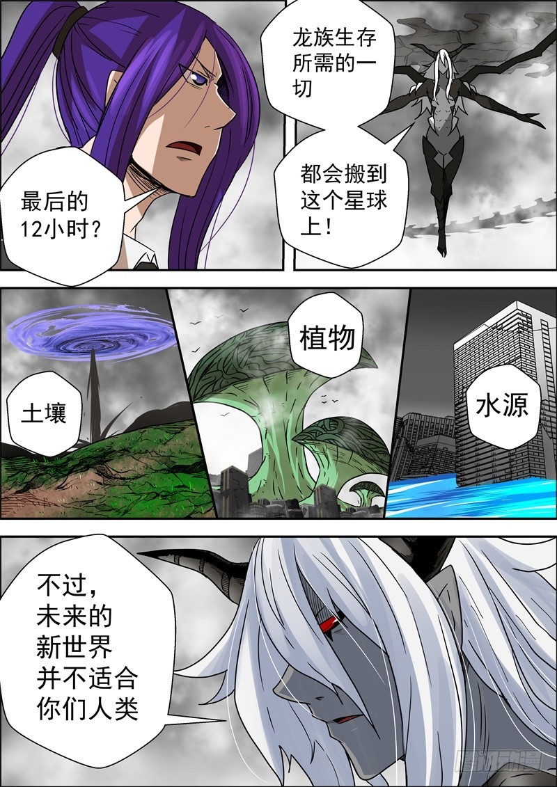 《最后的龙击》无限可能性的进化 第1页