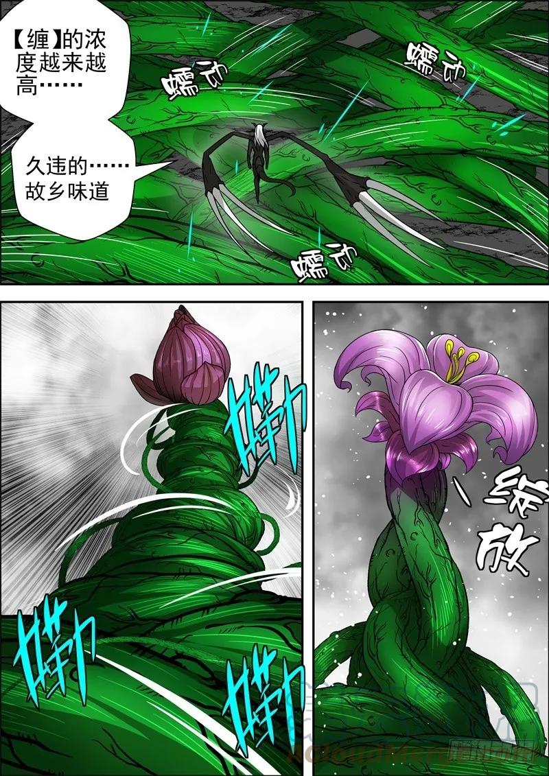 《最后的龙击》65-故乡 第9页