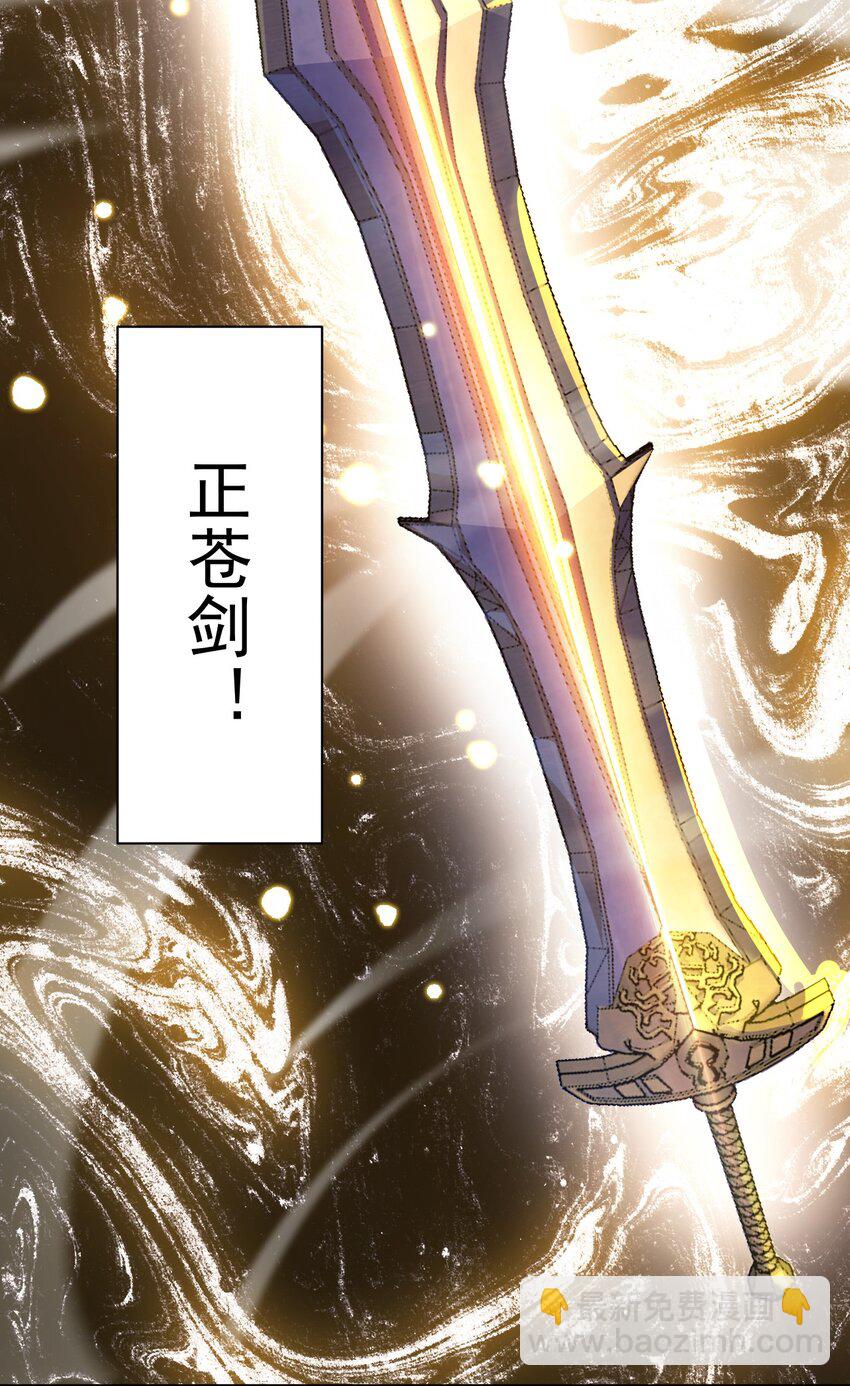 《最强魔尊的煺休生活从攻略主角开始》63 正苍剑 第37页