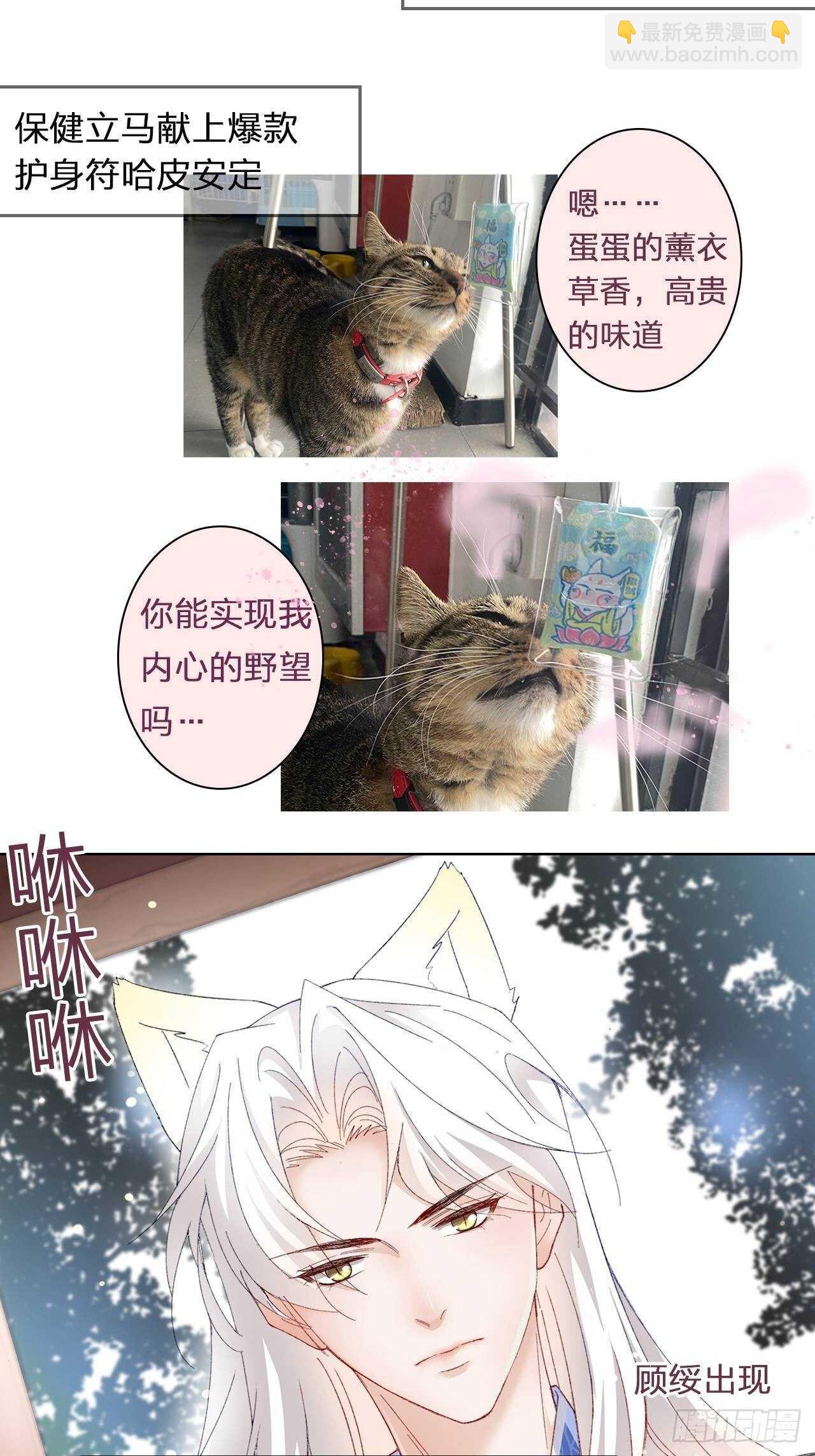 《寻只狐妖做影帝》23.欲仙欲死的伎俩 第48页