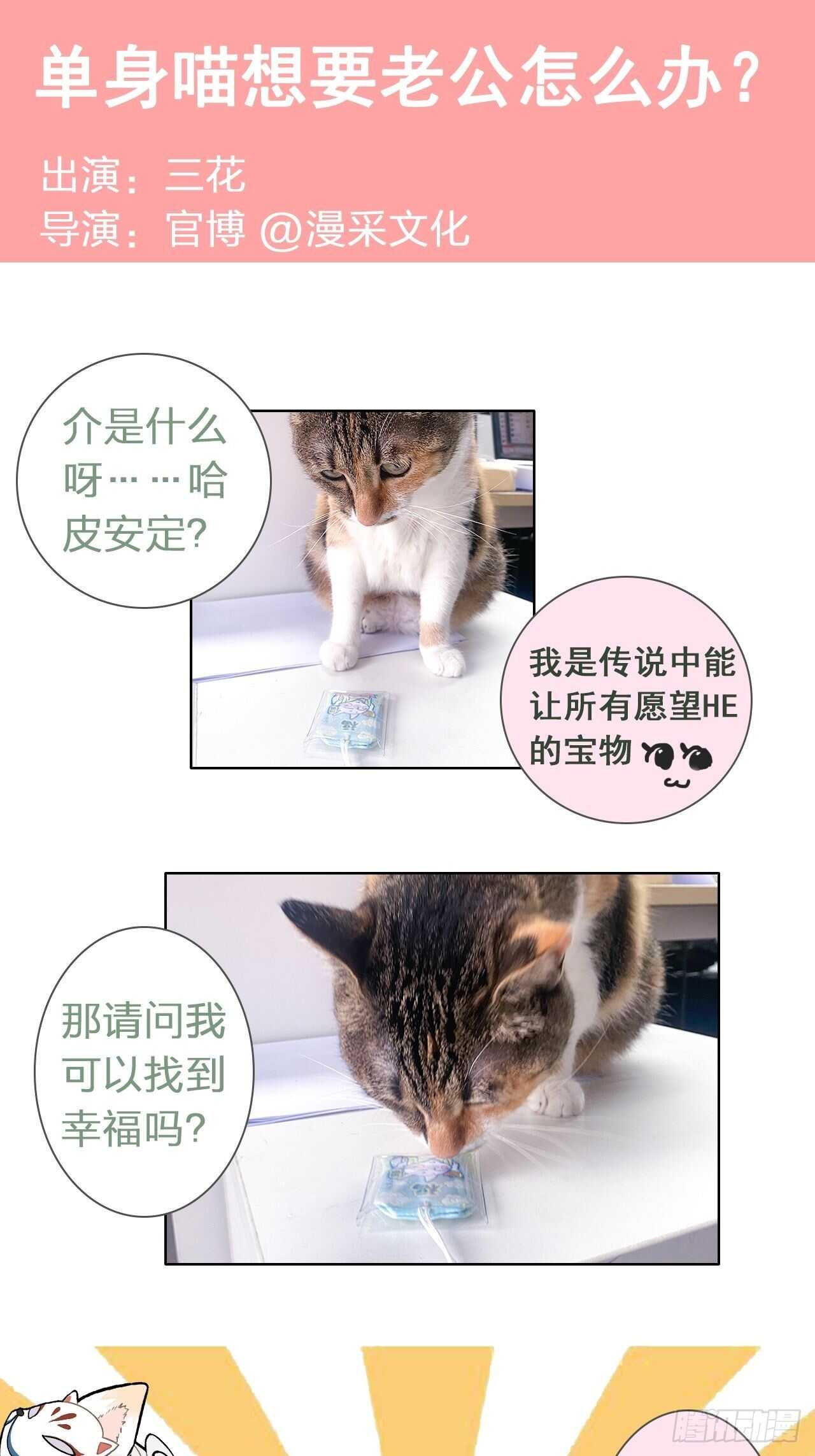 《寻只狐妖做影帝》27.因为有你 第40页