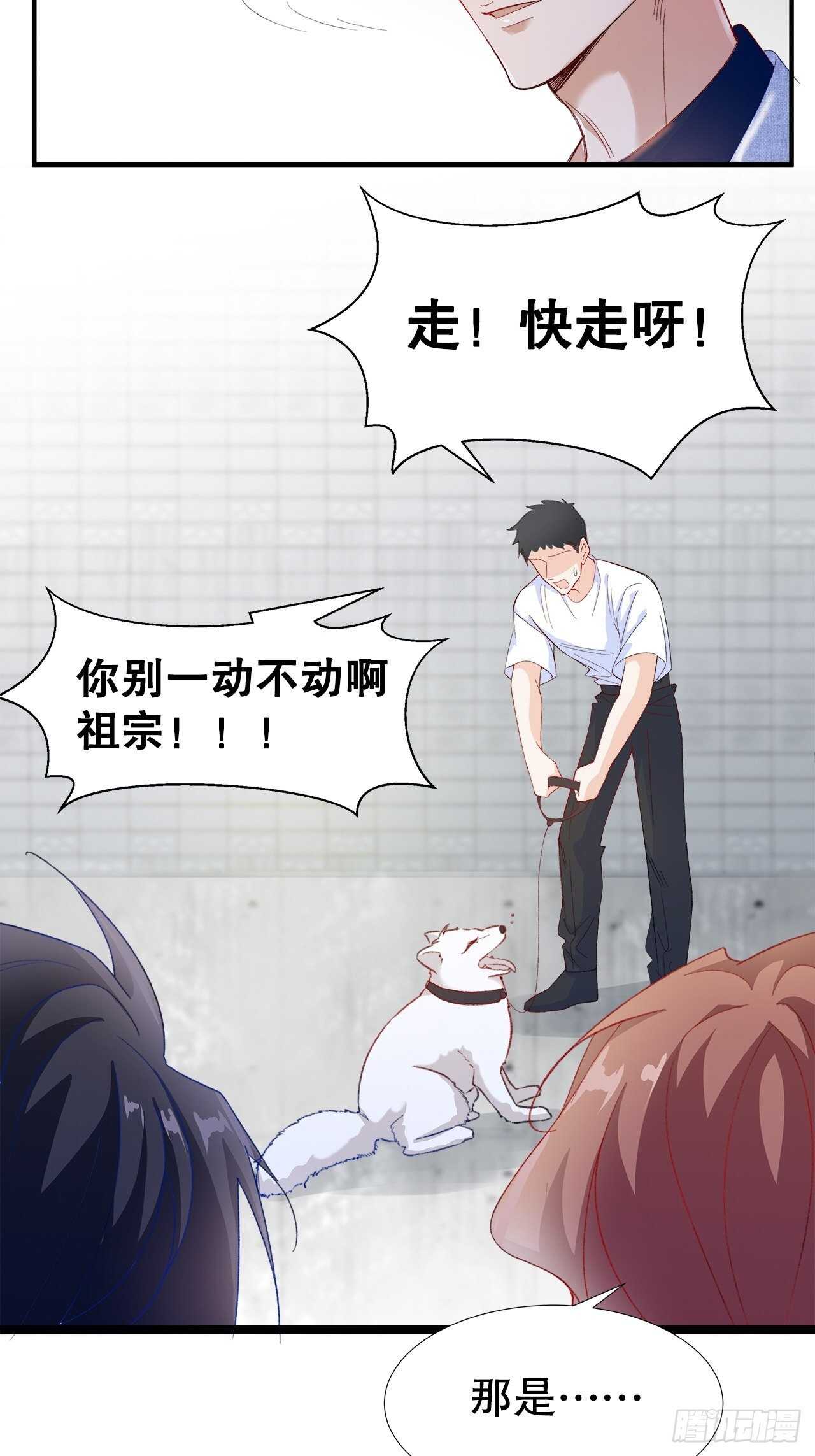 《寻只狐妖做影帝》29.狐族之主 第19页