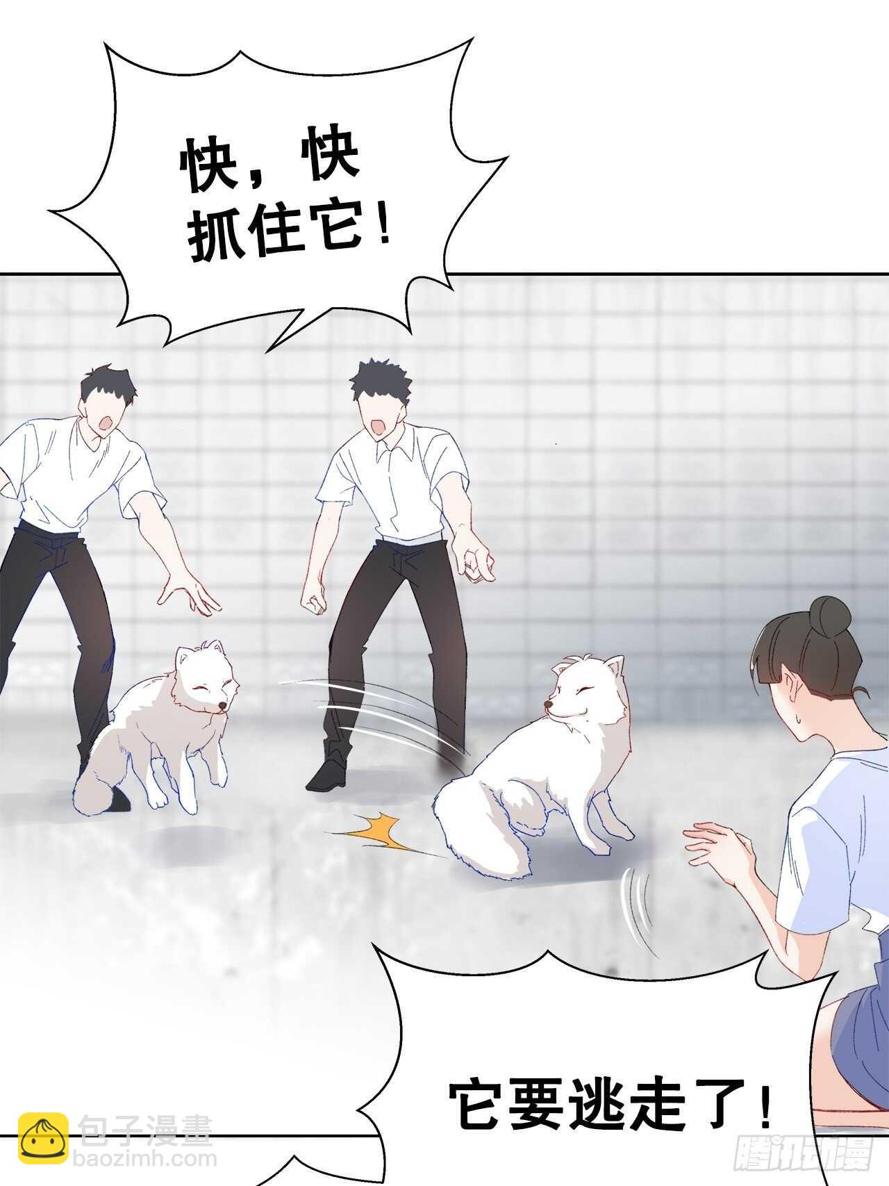 《寻只狐妖做影帝》29.狐族之主 第21页