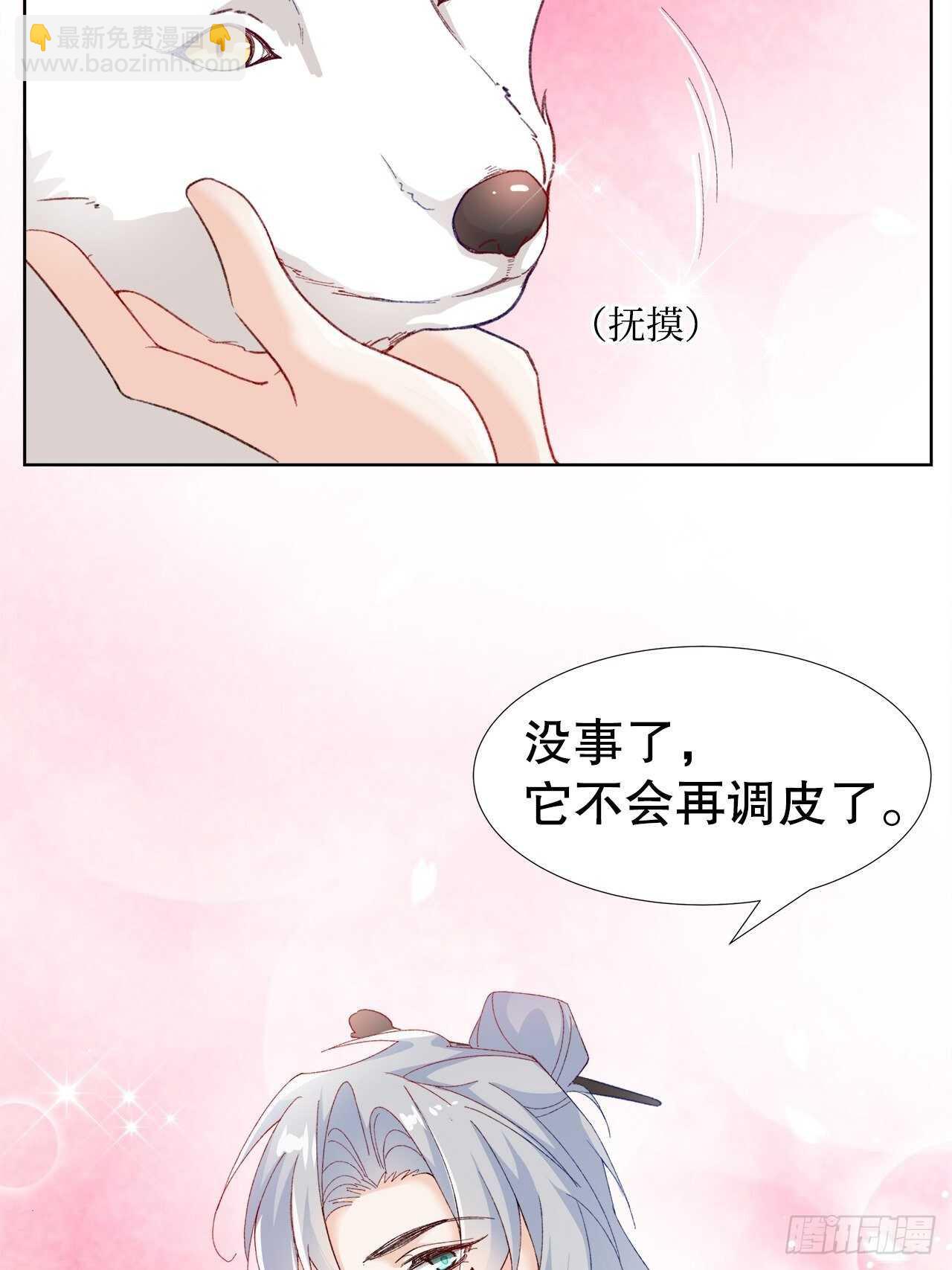 《寻只狐妖做影帝》29.狐族之主 第26页