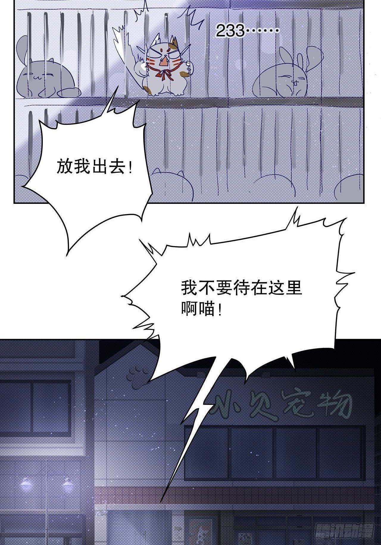《寻只狐妖做影帝》情人节小剧场 第2页