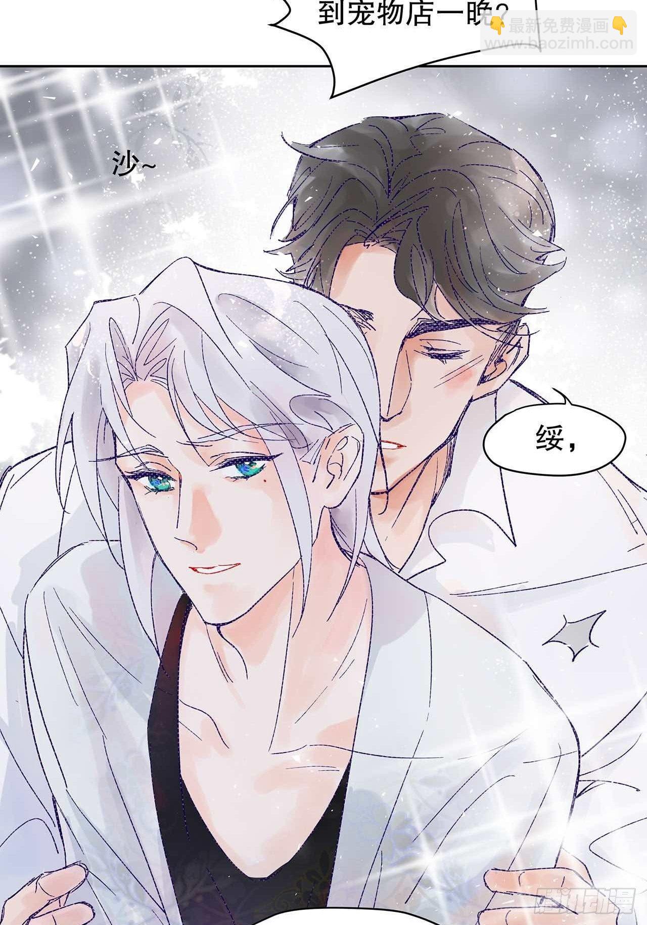 《寻只狐妖做影帝》情人节小剧场 第4页