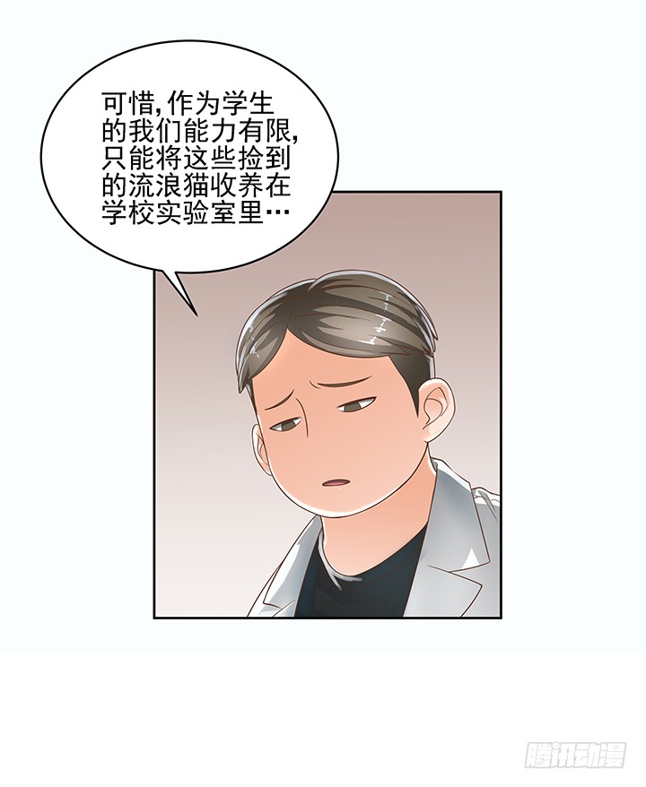 《燃烧吧！家政女王》7话 你脑袋里只有臭豆腐 第12页