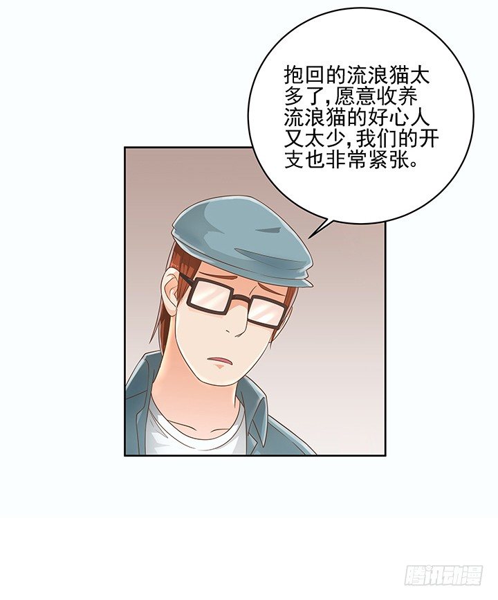 《燃烧吧！家政女王》7话 你脑袋里只有臭豆腐 第13页