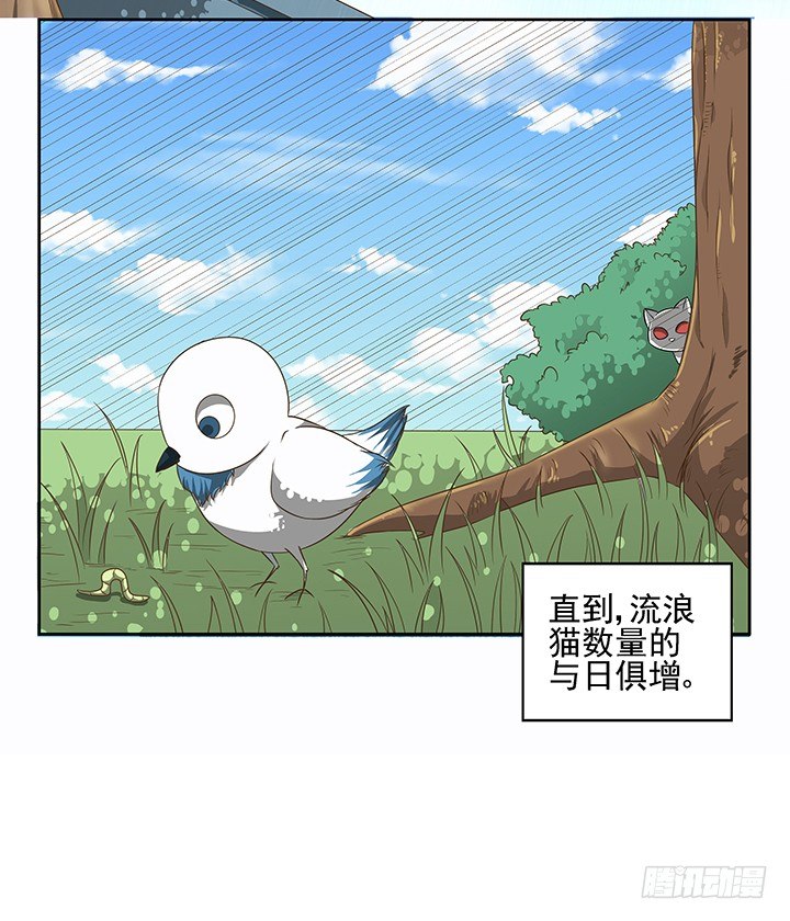 《燃烧吧！家政女王》7话 你脑袋里只有臭豆腐 第5页