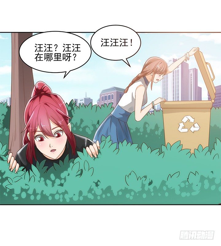 《燃烧吧！家政女王》5话 寻猫有道 第12页
