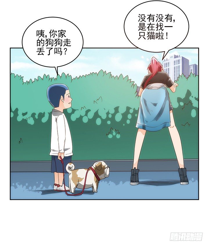 《燃烧吧！家政女王》5话 寻猫有道 第13页