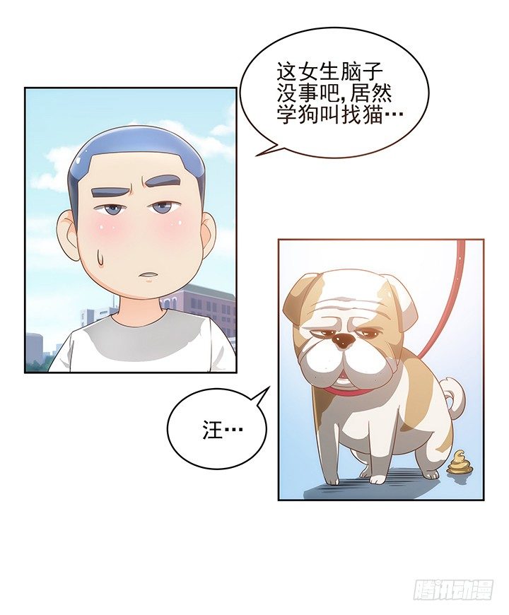 《燃烧吧！家政女王》5话 寻猫有道 第14页