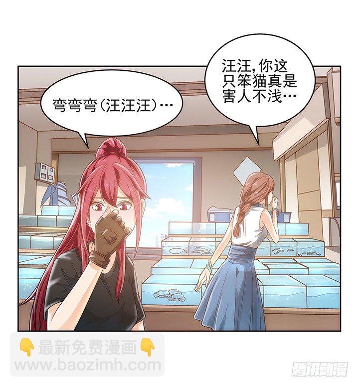 《燃烧吧！家政女王》5话 寻猫有道 第17页