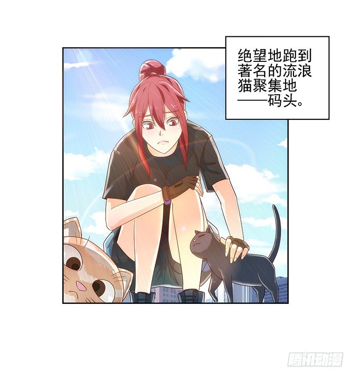 《燃烧吧！家政女王》5话 寻猫有道 第24页