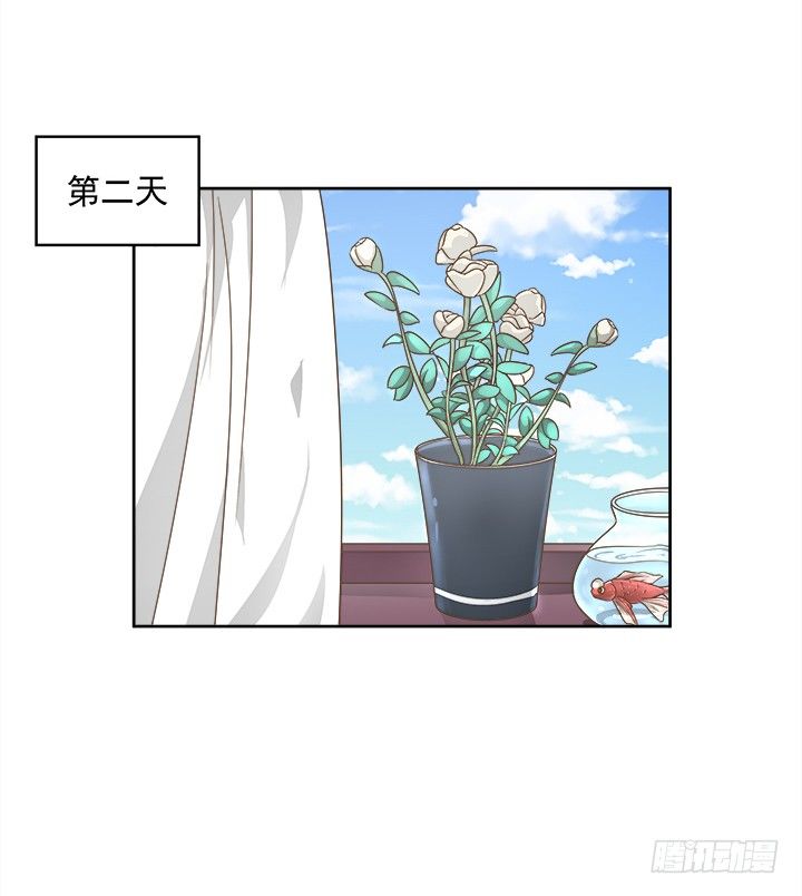 《燃烧吧！家政女王》14话 外貌并不代表所有 第29页