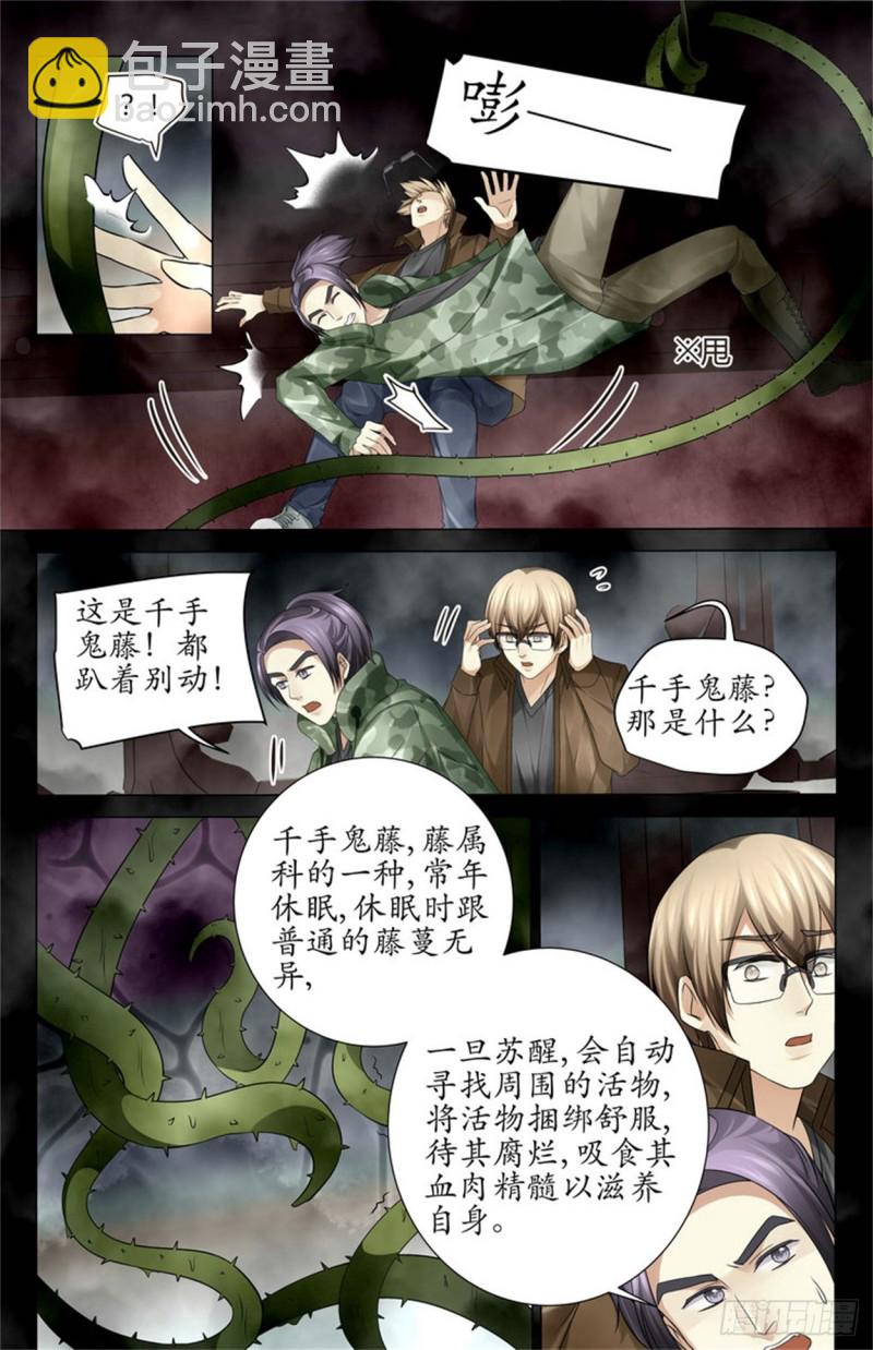 《巫蛊笔记》千手鬼藤 第10页