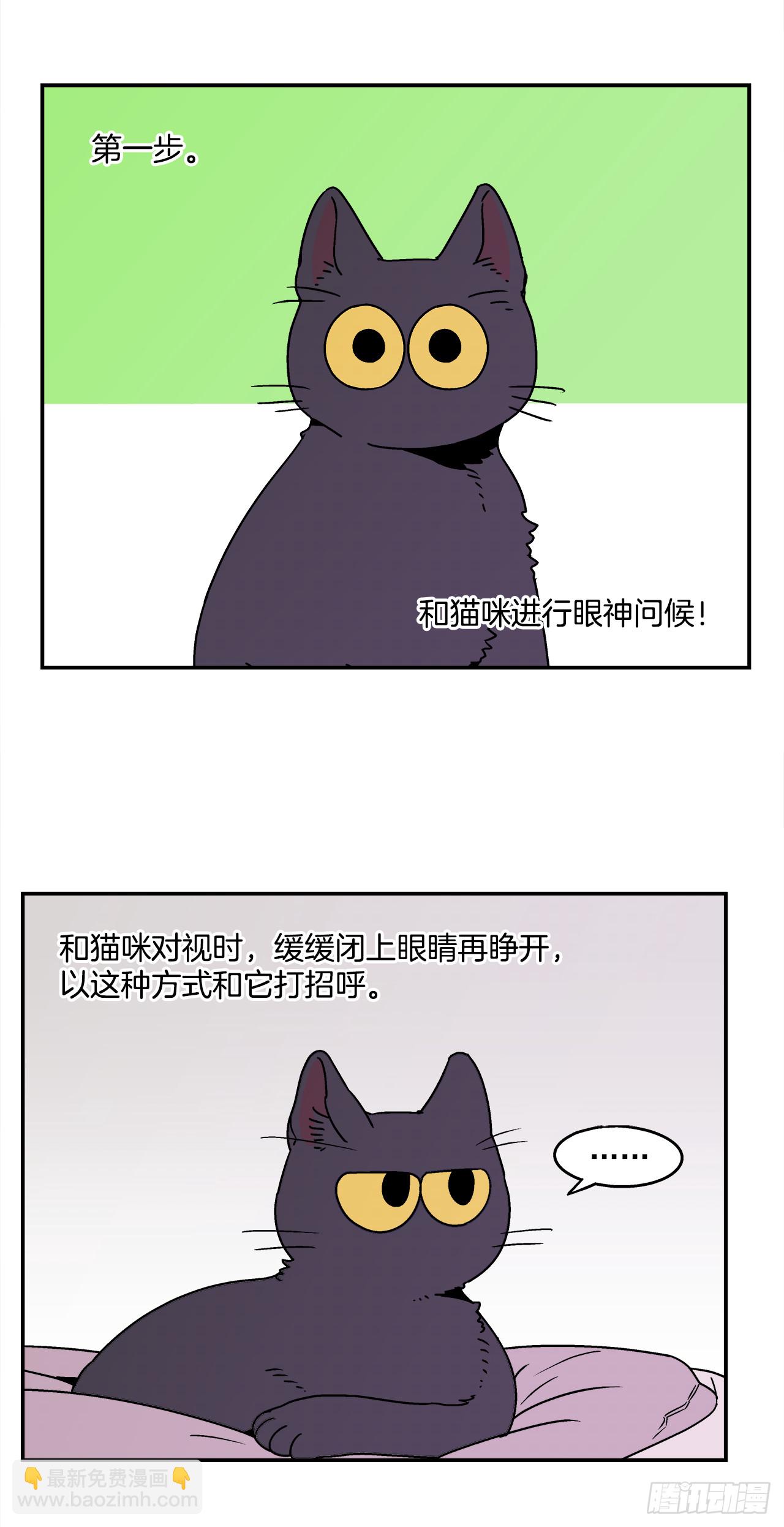《关于欲望这件事》66.番外8 如何搞定猫咪 第27页